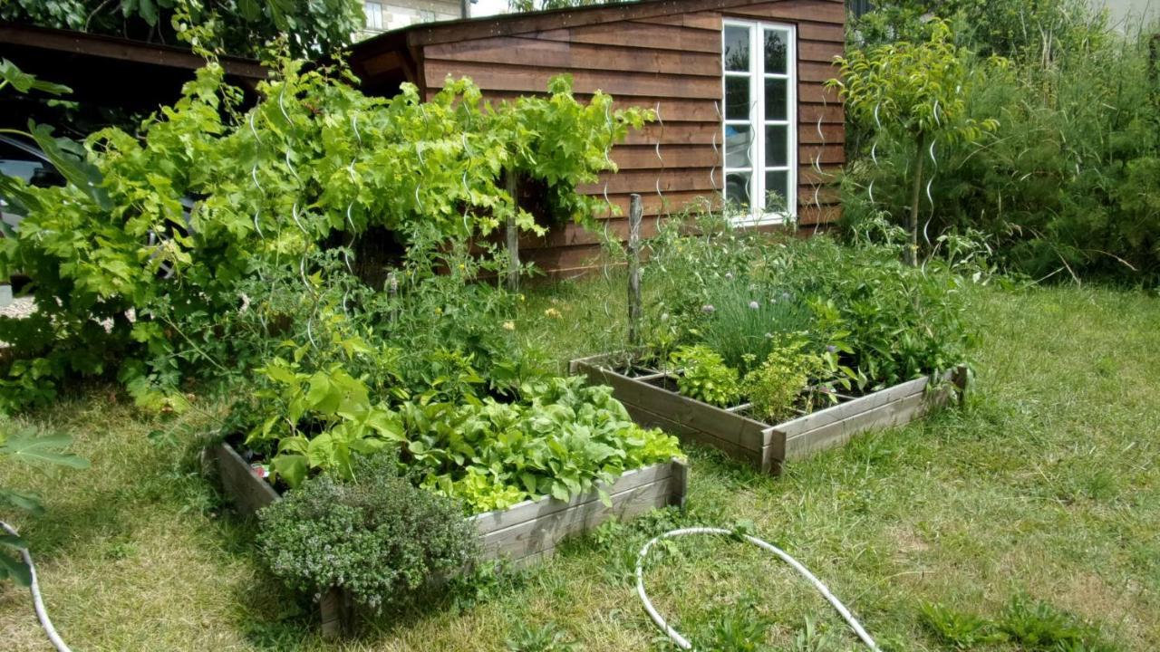 Maison Linda Ch. D'Hote Grateloup Bagian luar foto